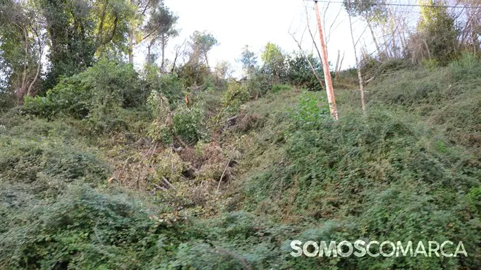 somoscomarca_20241027_vilamartin_carreradelasciudades_cancerpancreas4469