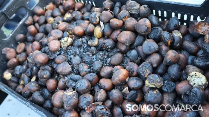 somoscomarca_20241027_cdbarco_atleticoarnoia_magosto (1)