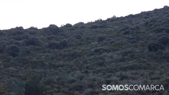 somoscomarca_20241103_vilamartin_kilometrovertical_carreirasgalegas (28)