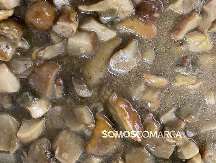 somoscomarca_20241109_trives_laviuda_setas_xornadasmicoloxicas (34)