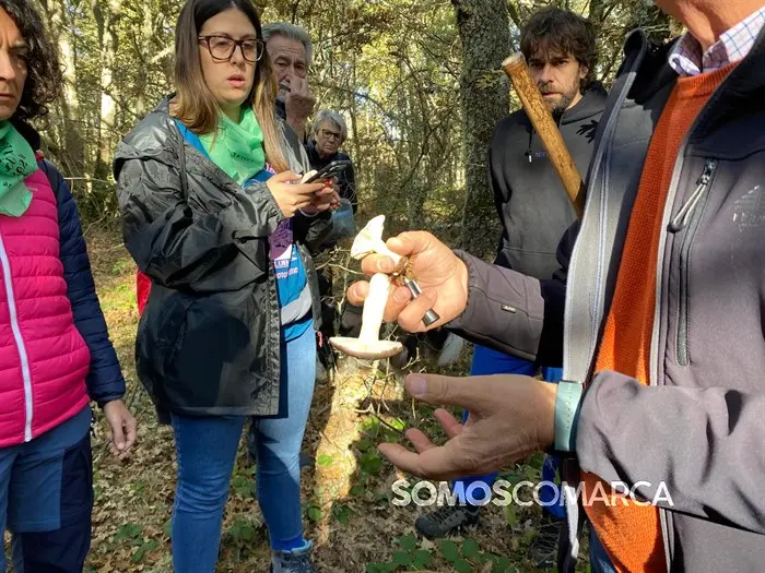 somoscomarca_20241109_trives_laviuda_setas_xornadasmicoloxicas (41)