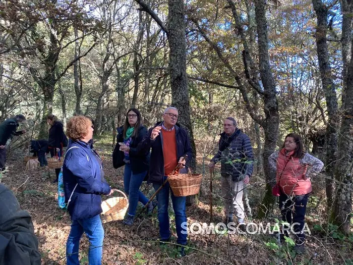 somoscomarca_20241109_trives_laviuda_setas_xornadasmicoloxicas (42)