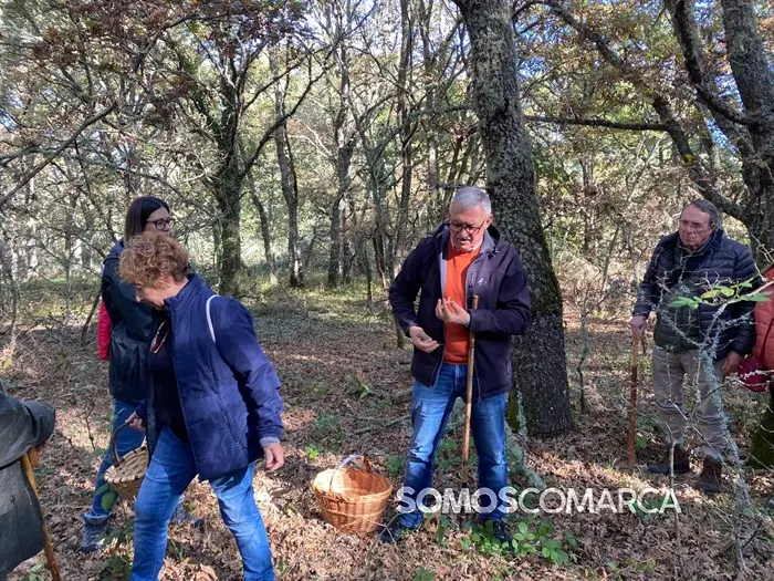 somoscomarca_20241109_trives_laviuda_setas_xornadasmicoloxicas (43)