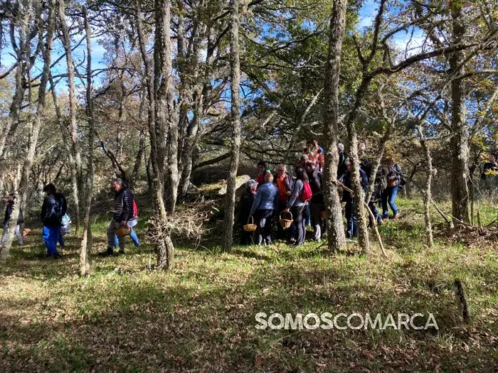 somoscomarca_20241109_trives_laviuda_setas_xornadasmicoloxicas (44)