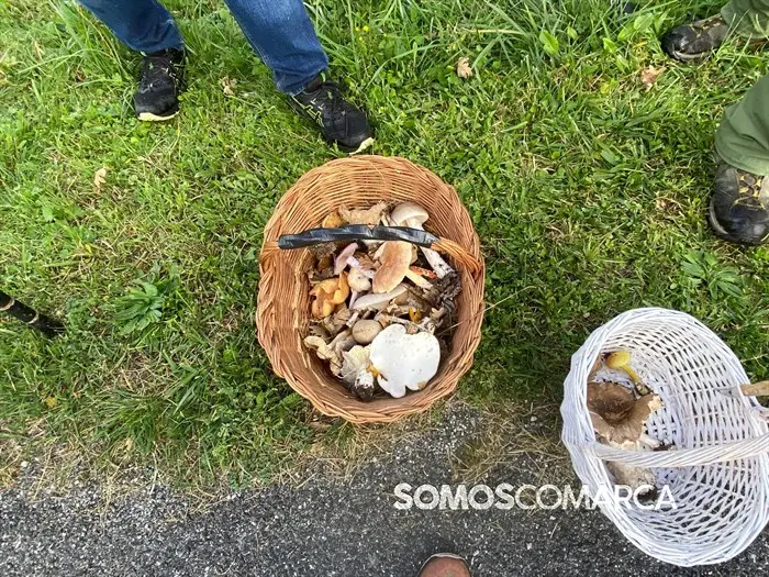 somoscomarca_20241109_trives_laviuda_setas_xornadasmicoloxicas (47)