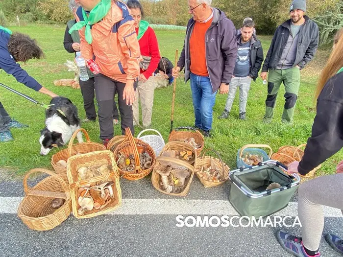 somoscomarca_20241109_trives_laviuda_setas_xornadasmicoloxicas (48)