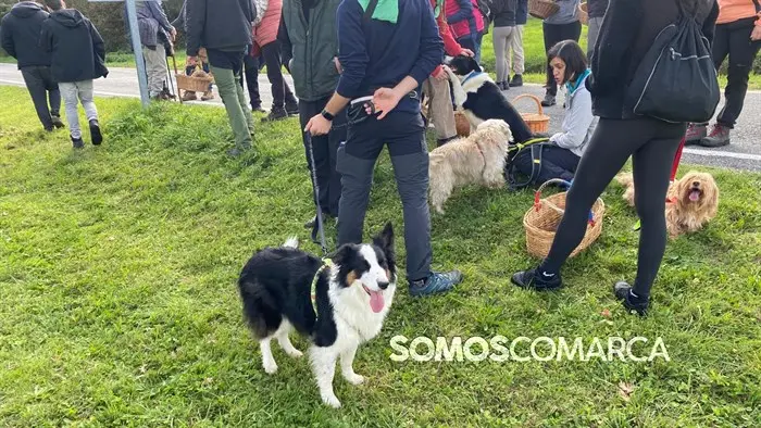 somoscomarca_20241109_trives_laviuda_setas_xornadasmicoloxicas (53)