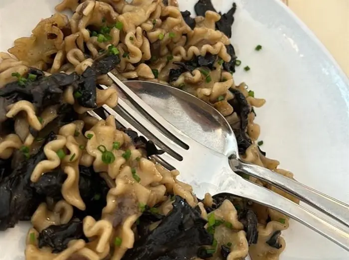 somoscomarca_20241109_trives_setas_xornadasmicoloxicas (1)