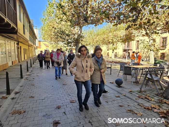 somoscomarca_20241111_viloira_iglesia_procesion_sanmartiño (1)