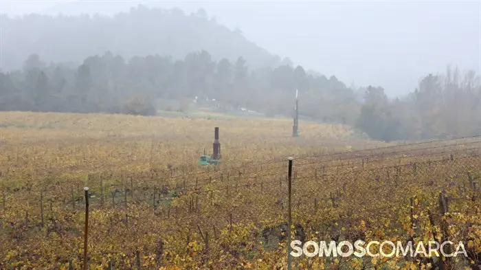 somoscomarca_20241121_atapada_senenguitian_premio (10)