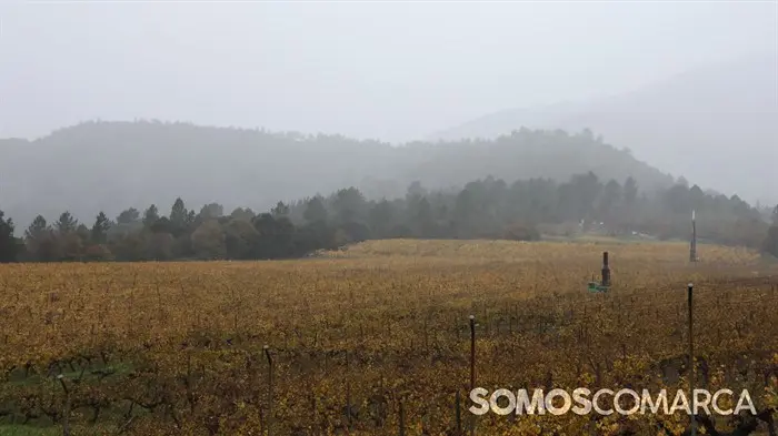 somoscomarca_20241121_atapada_senenguitian_premio (11)