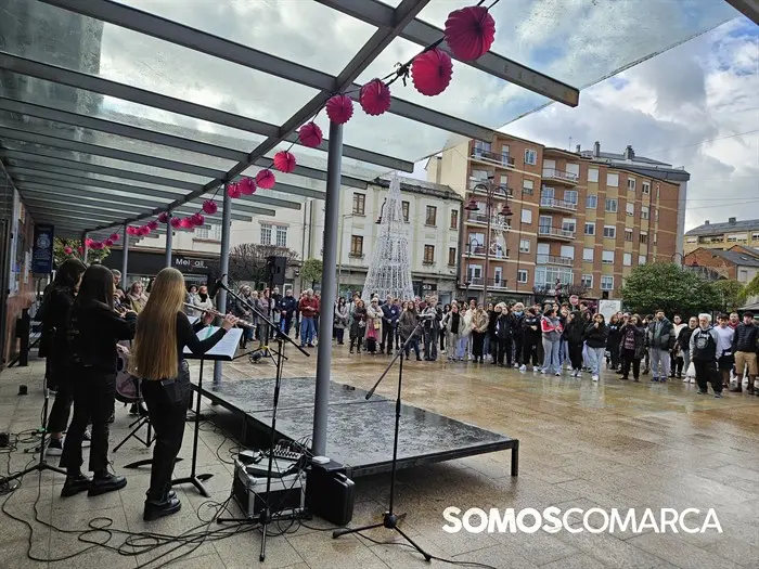 somoscomarca_20241125_25n_diada violenciamuller5053