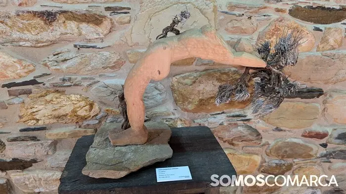 somoscomarca_241207_vilamartín_corgomoarte764