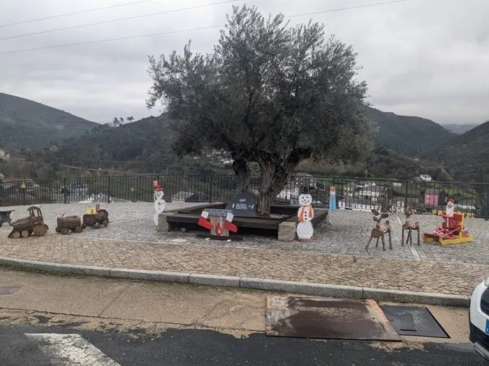 somoscomarca_20241209_carballeda_decoracion_navideña72