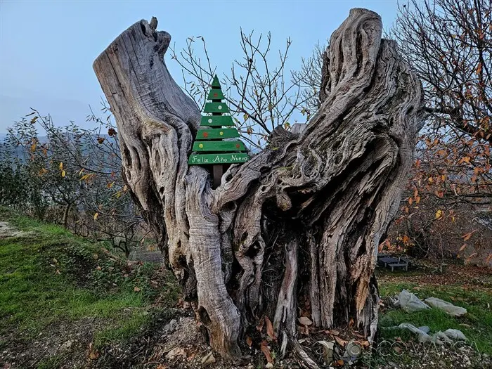 somoscomarca_20241209_carballeda_decoracion_navideña80