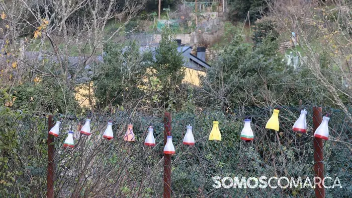 somoscomarca_241212_obarco_veigamuiños_navidad802