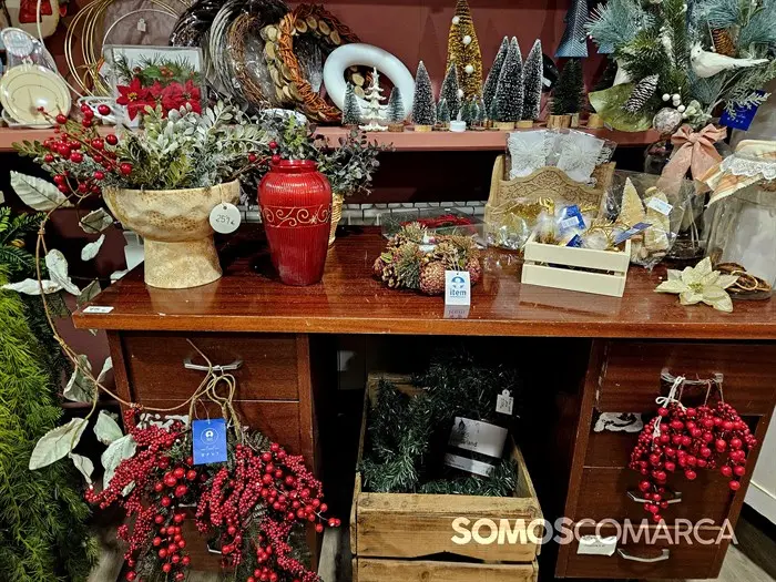 somoscomarca_2024_12_19_obarco_navidad_cousanosa_5663