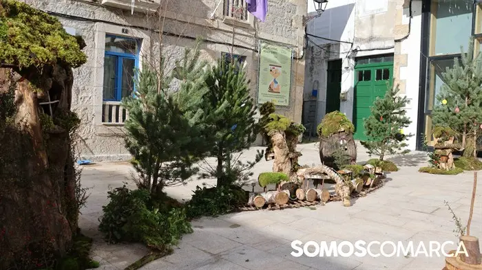 somoscomarca_2024_12_21_aveiga_nadalenxebre_nadal_navidad5696