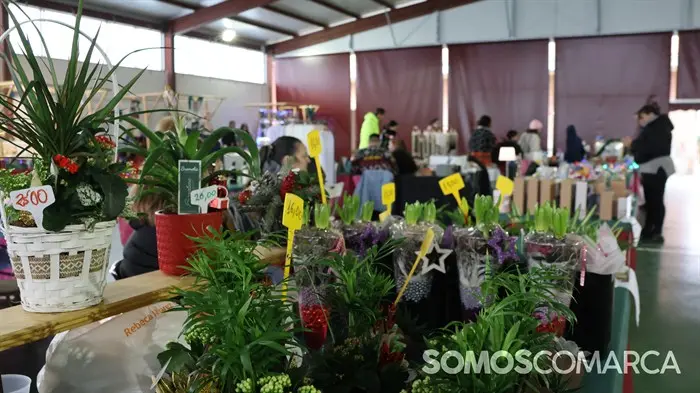 somoscomarca_2024_12_21_petin_navidad_mercadodenadal6010