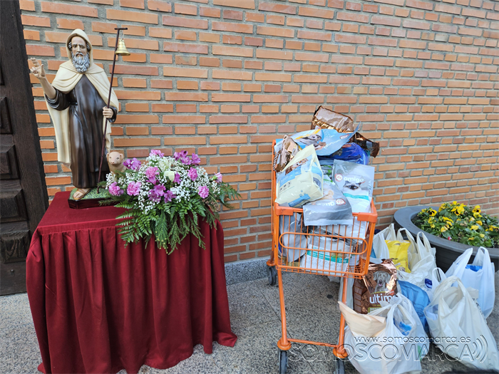 somoscomarca_20250117_obarco_bendicionmascotas_iglesiasantarita (4)