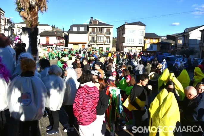 somoscomarca_20250301_vilamartin_entroido_desfilecomparsas (38)