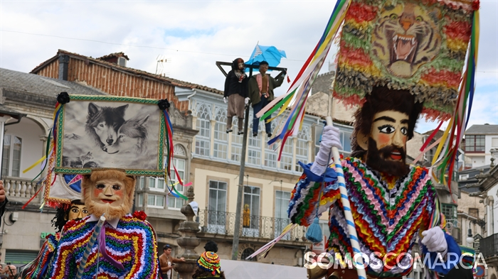 somoscomarca_viana_entroido_desfilefulions2025 (33)