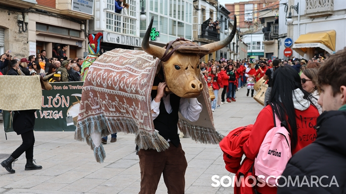 somoscomarca_viana_entroido_desfilefulions2025 (46)