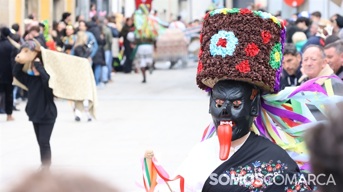 somoscomarca_viana_entroido_desfilefulions2025 (49)