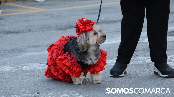 somoscomarca_obarco_entroido_desfilecomparsas_2025 (49)