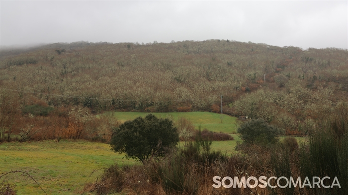 somoscomarca_obolo_orientacion (12)