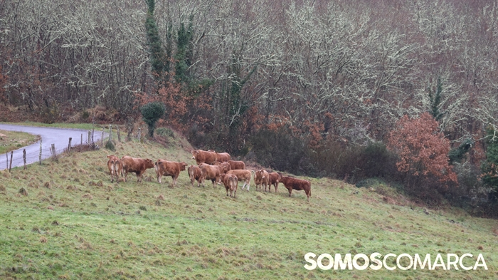 somoscomarca_obolo_orientacion (30)