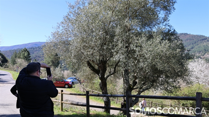 somoscomarca_quiroga_mostradoaceite (2)