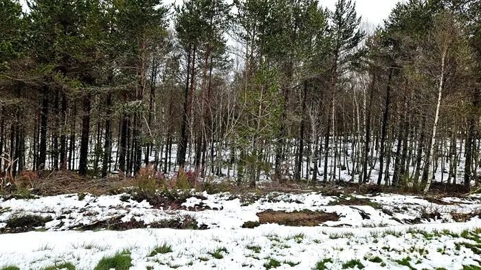 somoscomarca_20250417_altodaportela_lamalonga_nieve_viacrucisdaserra (18)