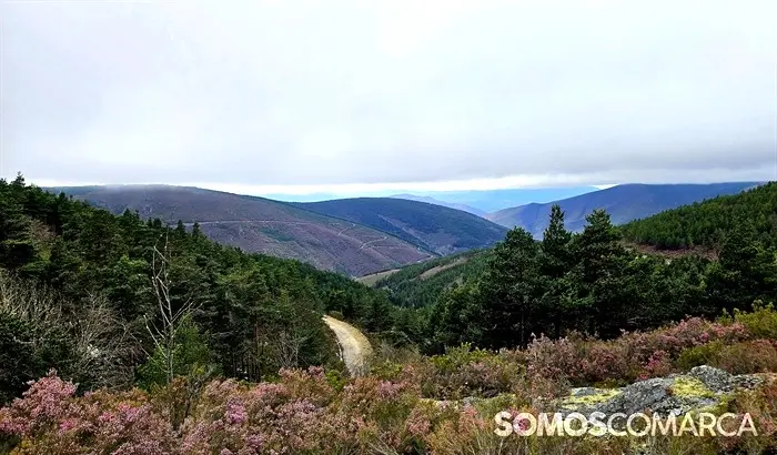 somoscomarca_20250417_altodaportela_lamalonga_viacrucisdaserra (17)