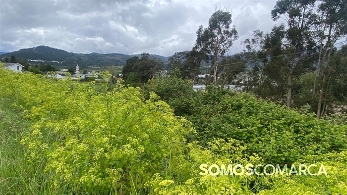 somoscomarca_petin_caminodeespaña_petinsampayo (4)