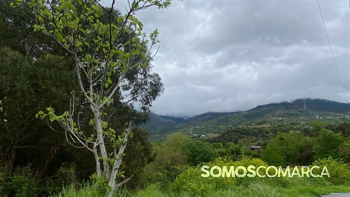 somoscomarca_petin_caminodeespaña_petinsampayo (5)