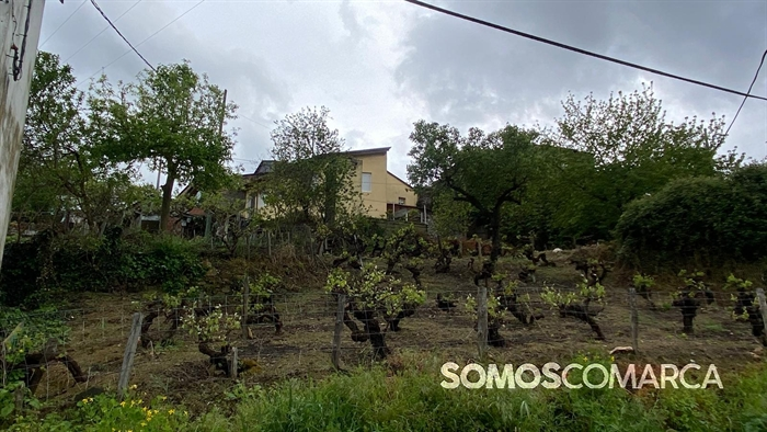 somoscomarca_petin_caminodeespaña_petinsampayo (6)