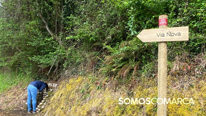 somoscomarca_petin_caminodeespaña_petinsampayo (8)