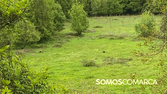 somoscomarca_petin_caminodeespaña_petinsampayo (13)