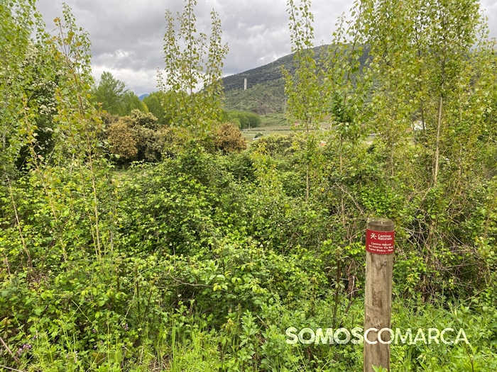 somoscomarca_petin_caminodeespaña_petinsampayo (19)