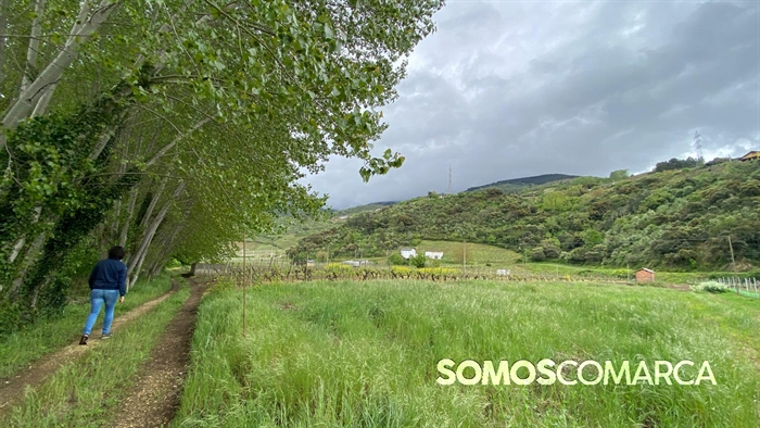 somoscomarca_petin_caminodeespaña_petinsampayo (24)