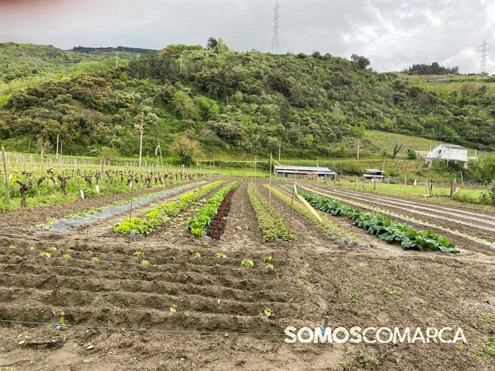 somoscomarca_petin_caminodeespaña_petinsampayo (26)