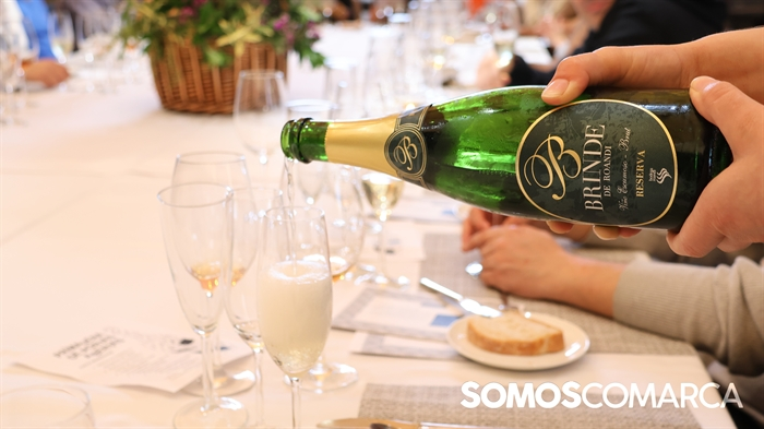 somoscomarca_rutadelvino_primaverapuertasabiertas_hotelcalzada (10)