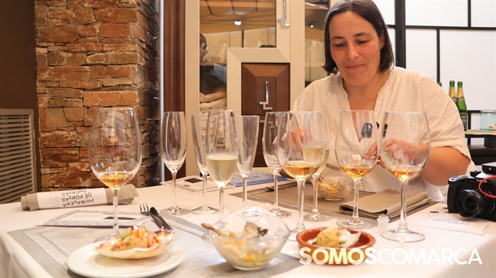 somoscomarca_cecifernandez_rutadelvino_primaverapuertasabiertas_hotelcalzada (12)