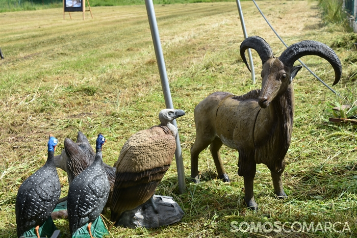 somoscomarca_20250510_arua_oaguillon_campeonato_3dtiroconarco (10)