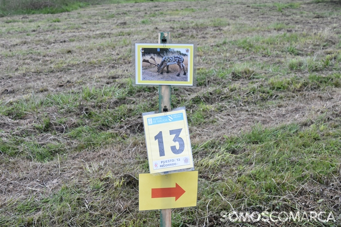 somoscomarca_20250510_arua_oaguillon_campeonato_3dtiroconarco (13)