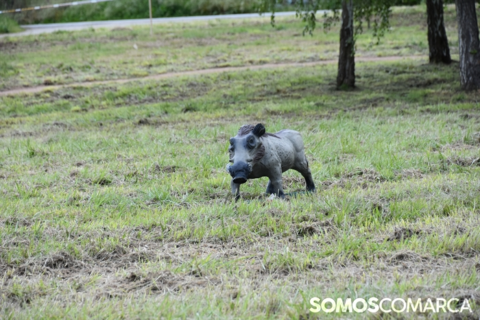 somoscomarca_20250510_arua_oaguillon_campeonato_3dtiroconarco (14)