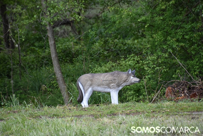 somoscomarca_20250510_arua_oaguillon_campeonato_3dtiroconarco (15)