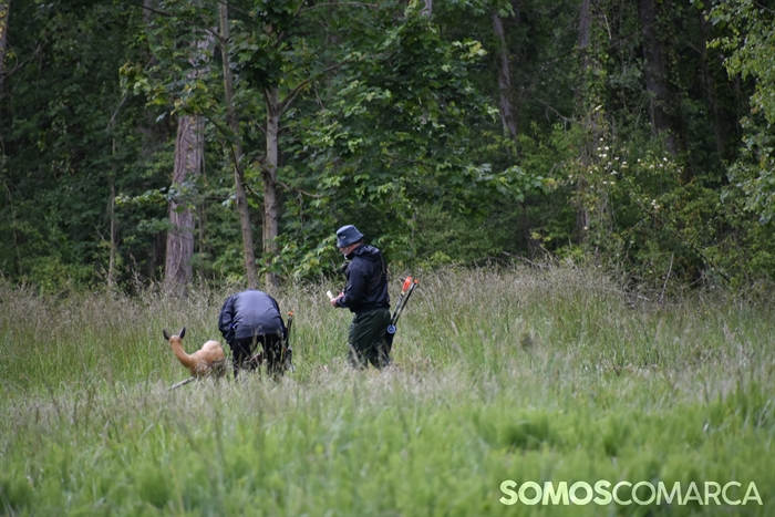 somoscomarca_20250510_arua_oaguillon_campeonato_3dtiroconarco (18)