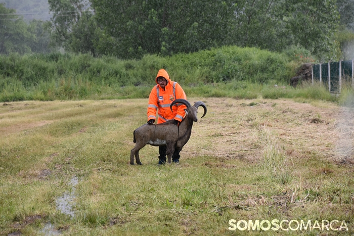 somoscomarca_20250510_arua_oaguillon_campeonato_3dtiroconarco (26)